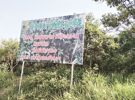 安鑫娱乐(中国游)官方网站