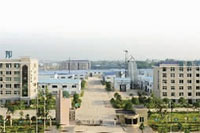 安鑫娱乐,油茶莳植生产加工销售,植物油莳植生产加工销售