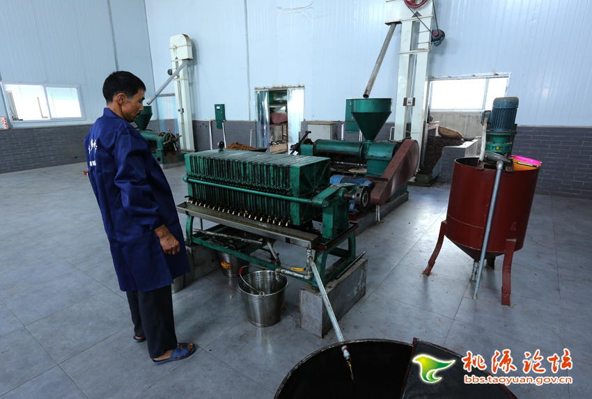 安鑫娱乐,油茶莳植生产加工销售,植物油莳植生产加工销售