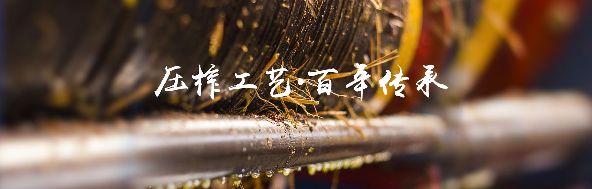 安鑫娱乐_油茶莳植生产加工销售|植物油莳植生产加工销售